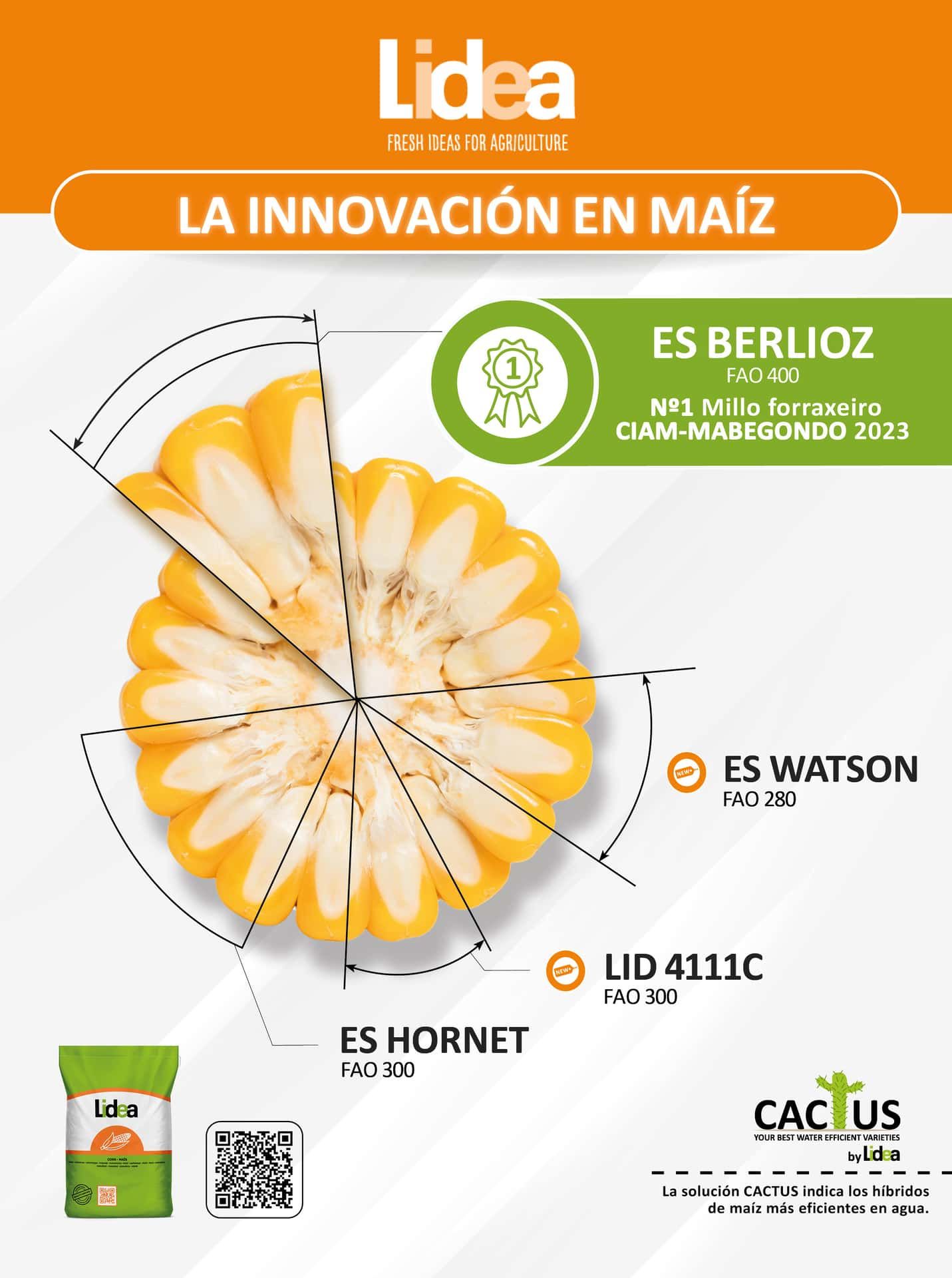 La innovación en maíz