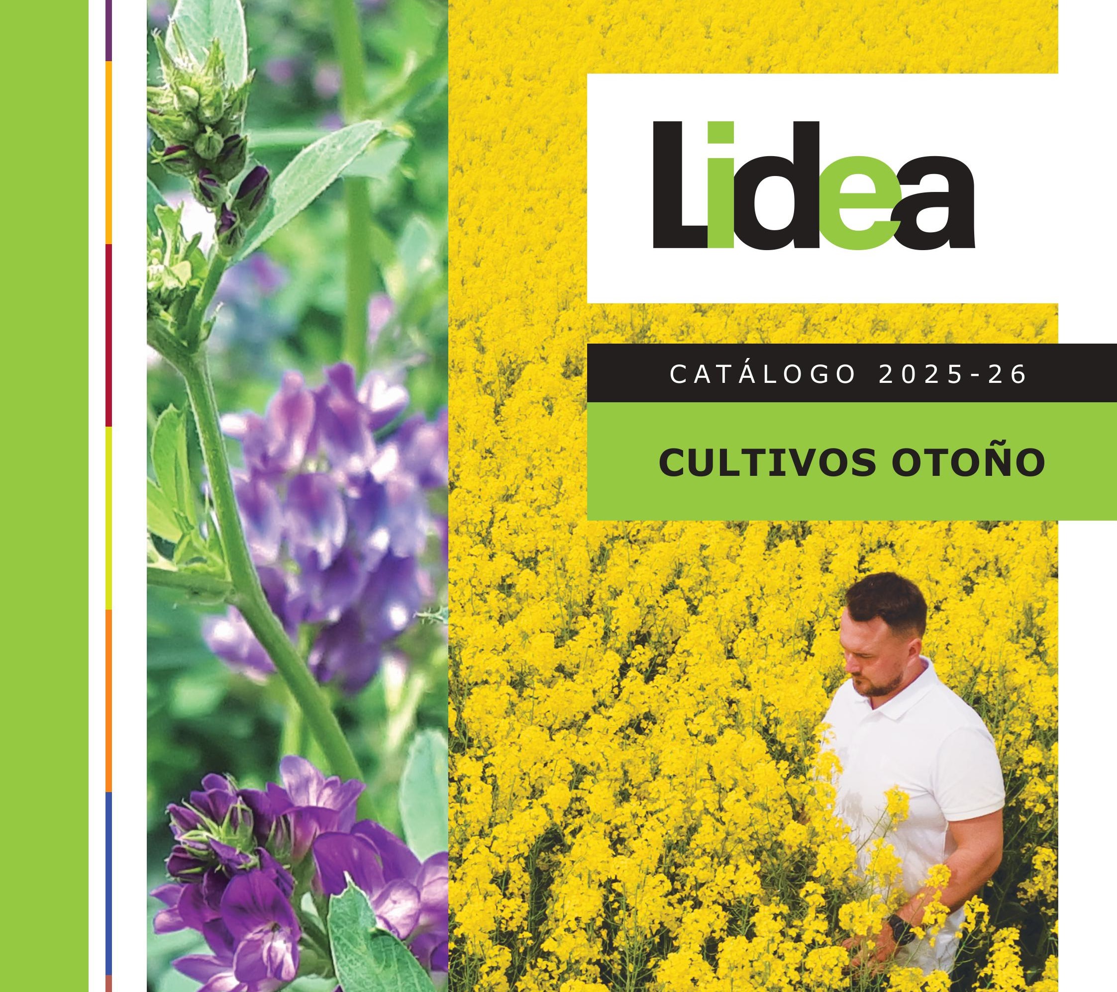 cultivos otoño lidea
