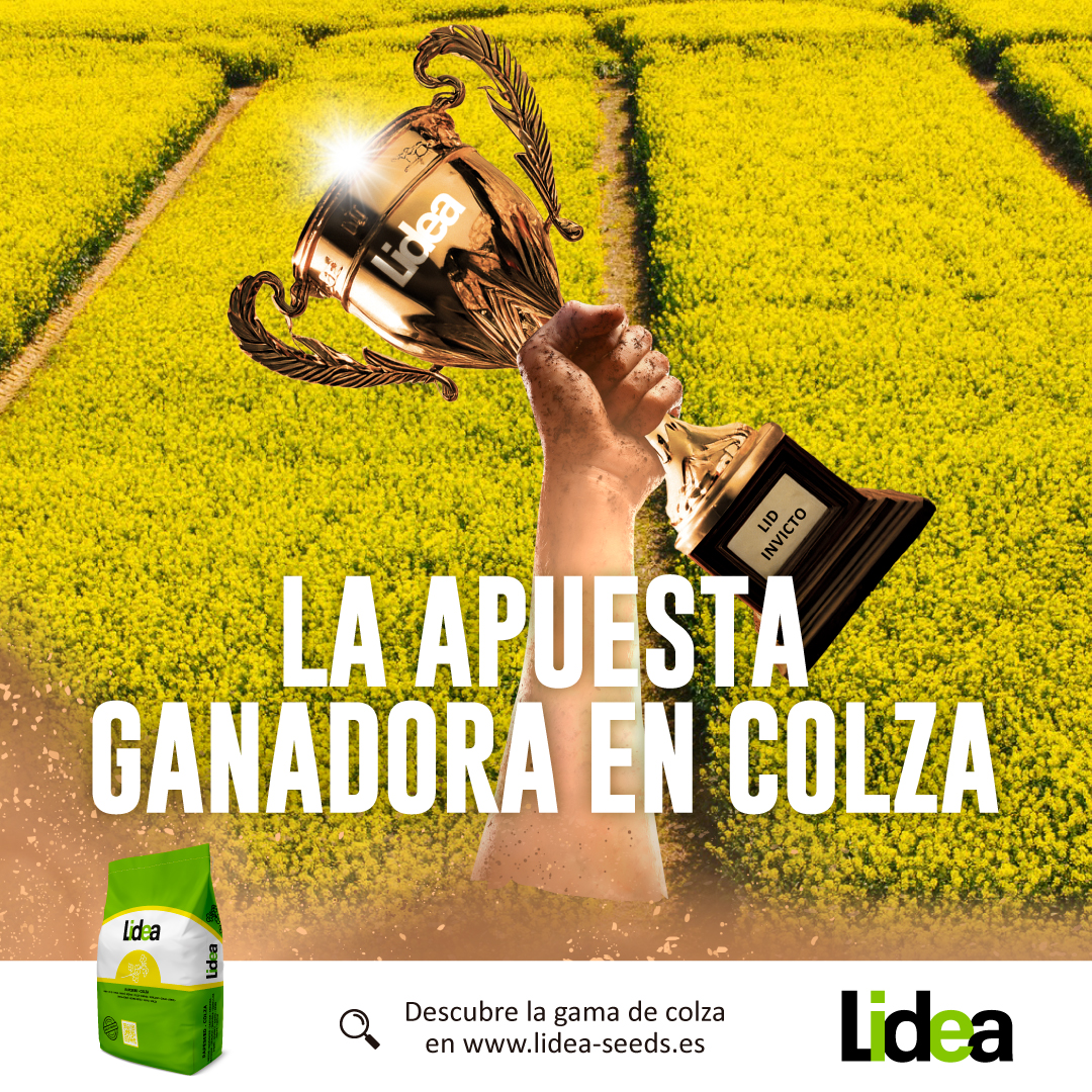 gama colza lider lidea