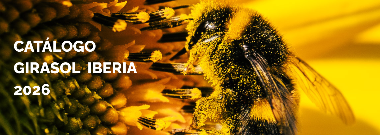 Descubre la Nueva Gama de Girasol 2026 de Lidea